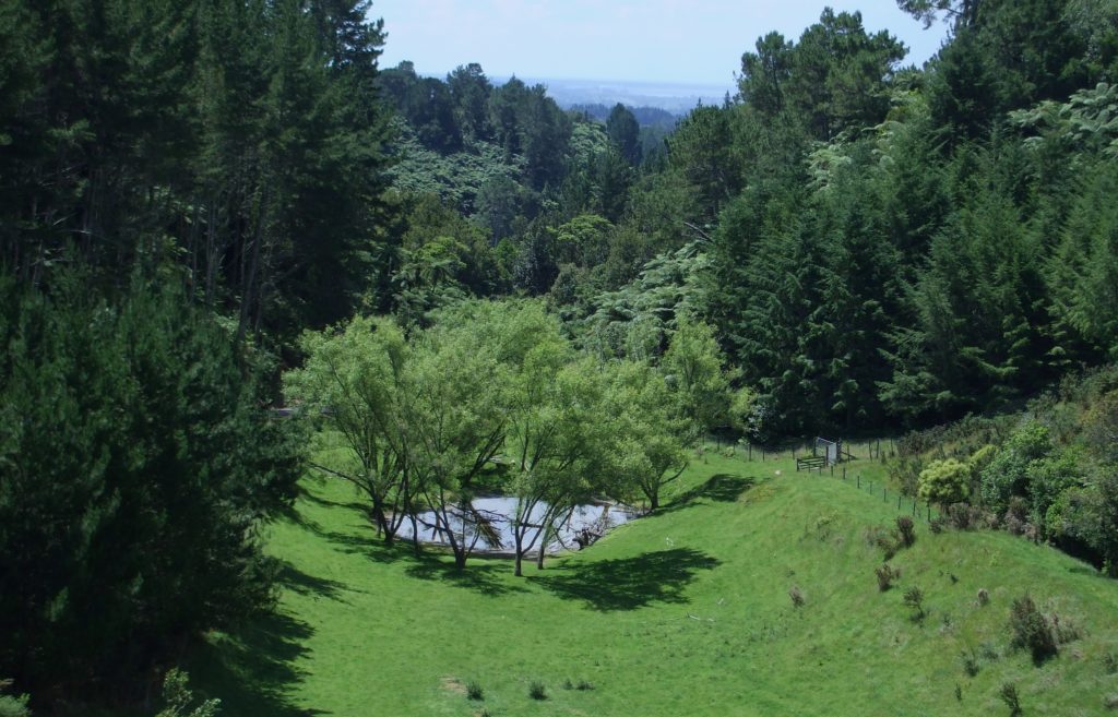 No place like home. The beautiful sight of New Zealand Farmland and Native Bush. 
