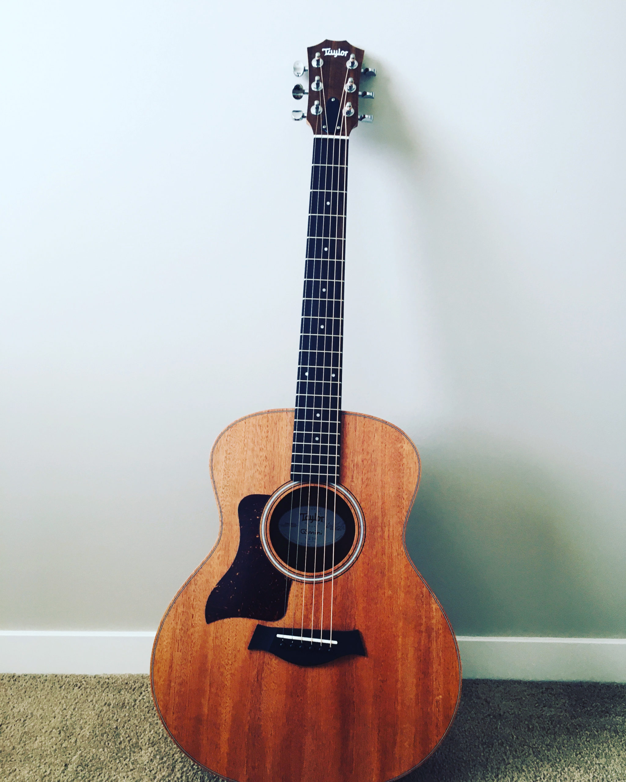 Sarah's been increasing her knowledge of all her creative pursuits. In the photo is Sarah's new guitar. A beautiful mahogany topped Taylor GS Mini. 