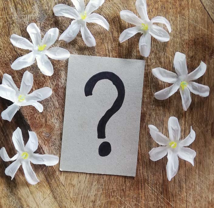 The question is, what will the feedback be? Everyone hopes it's as beautiful as these decorative flowers surrounding the question mark painted on cardboard in this picture.