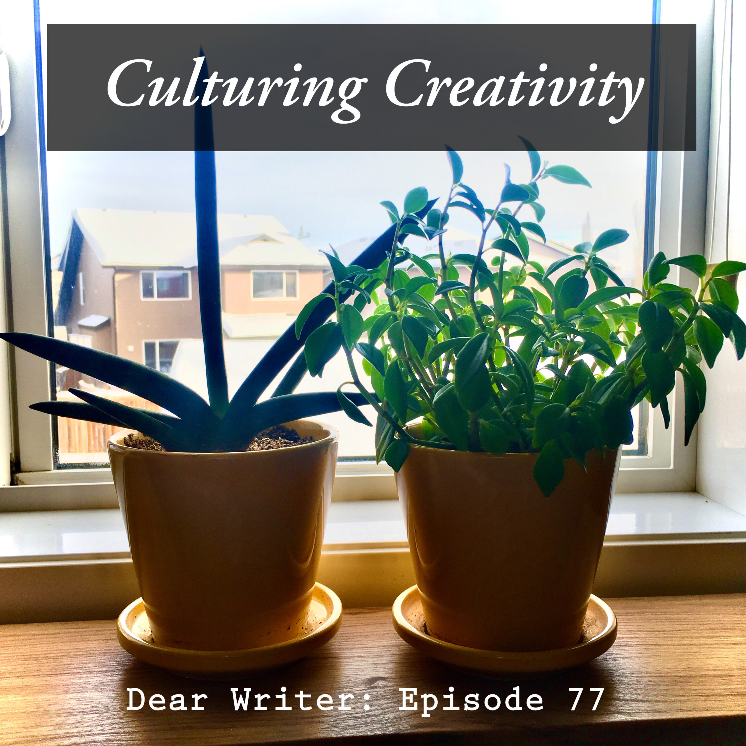 Dear Writer: Episode 77 - Culturing Creativity - Exploding a Moment